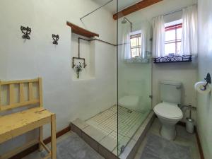 博福特西Grootfontein Farm House的一间带卫生间和玻璃淋浴间的浴室