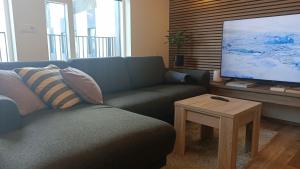 雷克雅未克Ocean View Suite near Sky Lagoon的带沙发和平面电视的客厅