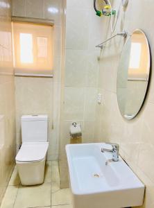 莱基Novara Apartments的一间带卫生间、水槽和镜子的浴室