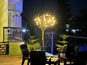 古尔马尔格Everest Guest House的夜晚在庭院中间的一棵灯光树