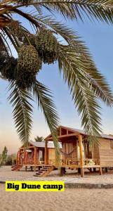 努韦巴Big Dune camp的海滩上的小木屋,种植了棕榈树