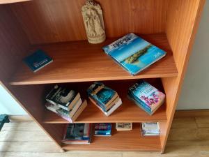 康提阿鲁纳鲁康提别墅的书架上书的木书架