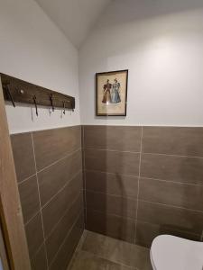 圣迪耶Ancien séchoir du 19ème siècle的一间带卫生间的浴室和墙上的照片