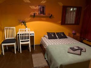 Lauku māja Sprīdīši的卧室配有一张床和一张桌子及椅子