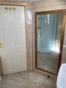 斯莱戈Castle View Suite的浴室设有玻璃淋浴间和镜子