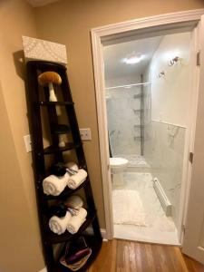 波士顿Cozy Boston Getaway Apartment的浴室设有毛巾架和卫生间