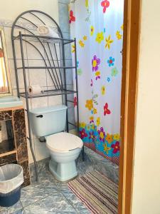 奎波斯城Apartamento Tamar的一间带卫生间和花墙的浴室