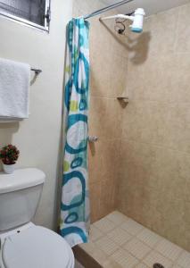 拉塞瓦Alojamiento en La Ceiba的带淋浴帘和卫生间的浴室