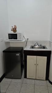 埃雷迪亚巴利亚多利德酒店的厨房配有水槽和微波炉