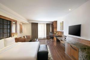 新德里德里机场丽笙世嘉酒店的大型酒店客房,设有起居室