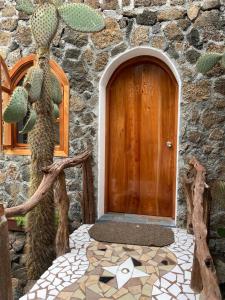 阿约拉港福塔莱萨德哈罗住宿加早餐旅馆的石头建筑中带仙人掌的木门