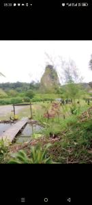 武吉丁宜Tapian Ratu Camp的享有田野、桥梁和山脉的景色