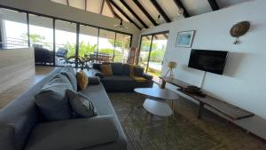 普纳奥亚Villa Te Miti的带沙发和电视的客厅