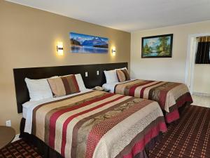纳帕尼福克斯汽车旅馆的一间酒店客房,房间内设有两张床