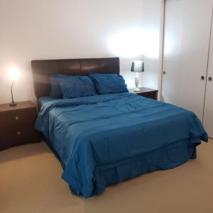 渥太华Lovely Guest Entire Apartment的一间卧室配有一张带蓝色棉被的床