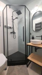 波兰尼卡-兹德鲁伊Trzy Kolory的一间带玻璃淋浴间和水槽的浴室