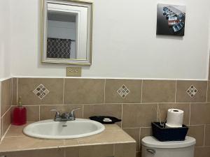 科马亚瓜Apartamentos Trebol的一间带水槽和卫生间的浴室
