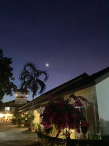 合艾เดอะกรีนฟอเรสท์ รีสอร์ท的一座棕榈树建筑和一座月亮建筑