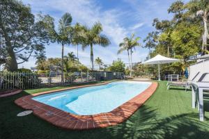扬巴The Residence at MobyDick Resort的棕榈树庭院内的游泳池