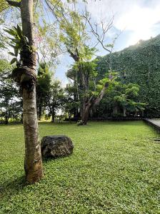 丹不拉丹布拉石拱门住宿加早餐旅馆的围在田野中树旁边的岩石