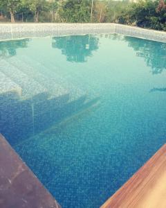SohnaPrivate room in Retreat by Walias Farm Stay的一座清澈 ⁇ 蓝海水的大型游泳池