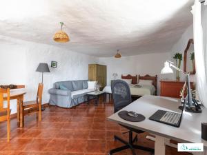阿尔特纳拉Living Artenara - CAVE HOUSE & SILENCE Adults Only的客厅配有沙发和带电脑的书桌