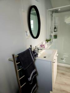 马丁伯勒Petite on Regent的一间带水槽和镜子的浴室