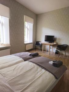 陶格夫匹尔斯Neiroprakse Mini Hotel的一间卧室配有一张床、一张书桌和一台电视