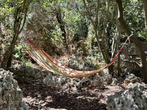 Abirimהקטלב- בקתה בין קטלב אחד ואלונים的挂在森林中树上的吊床