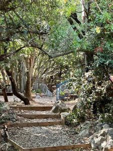 Abirimהקטלב- בקתה בין קטלב אחד ואלונים的树木繁茂的公园里,有一套楼梯
