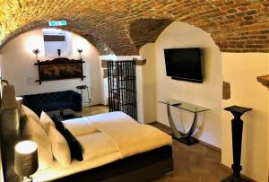 弗莱堡Historical Luxury Homes - Stadtvilla的一间卧室配有一张床,并在一间客房内配有电视。