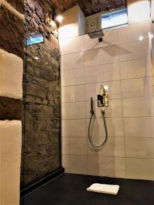 弗莱堡Historical Luxury Homes - Stadtvilla的一间带淋浴的浴室,墙上装有水管
