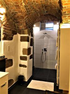 弗莱堡Historical Luxury Homes - Stadtvilla的砖墙内带淋浴的浴室
