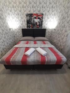 哈维若夫Hotel Boršičanka的一间卧室配有一张带两个枕头的床