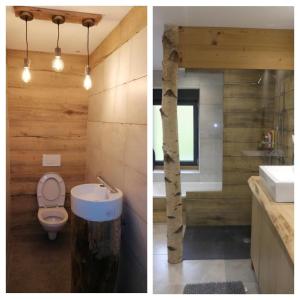 拉布雷斯LE MASSIF - Appartement avec vue imprenable的浴室的两张照片,配有卫生间和水槽