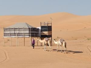 Al WāşilHamood desert local camp的两个骆驼和一个在沙漠中行走的人