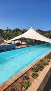 德班Umhlanga Breakers Resort的一个带白色遮阳伞的大型游泳池