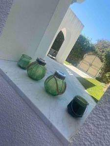 拉马萨Villa de maitre magnifique, spacieuse avec jardin的一群绿色花瓶坐在门廊上