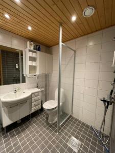 拉赫蒂Ilmastoitu 55 m2 huoneisto saunalla Lahden satamassa的浴室配有卫生间、盥洗盆和淋浴。