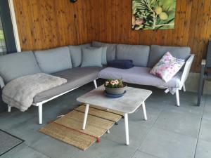 VolkelChalet "Het Biggetje" met hottub的天井上的沙发,配有桌子
