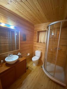 KalániaBeautiful Chalet on Mt. Parnassos near ski resort的浴室配有卫生间、盥洗盆和淋浴。
