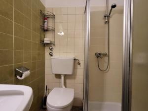 施图拜河谷新施蒂夫特Pension Terra的浴室配有卫生间、盥洗盆和淋浴。