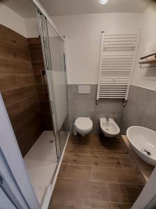 帕斯特伦戈Casa dell'Oca的带淋浴、卫生间和盥洗盆的浴室