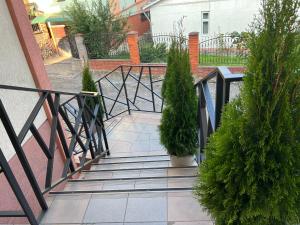 特鲁斯卡韦茨Готель «У Батька»的带有盆栽和栏杆的楼梯