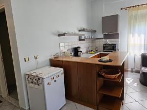 特里卡拉Pallantza Estate Trikala的厨房配有白色冰箱和台面