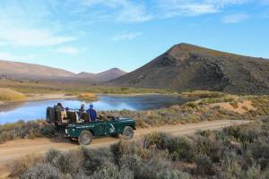 TouwsrivierDrie Kuilen Nature Reserve的沿着一条河边的土路行驶的绿色吉普车