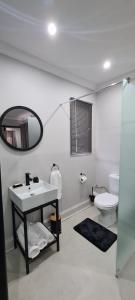 韦尔科姆Uitsig Boutique Hotel的一间带水槽、卫生间和镜子的浴室