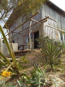 德尔迪阿布罗角Vida Playera的木结构建筑,有门和一些植物