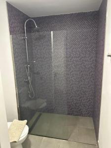 ArguineguínPURA VIDA的带淋浴和卫生间的浴室