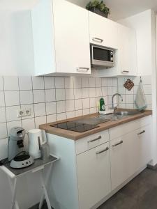 路德维希堡阿利萨公寓的白色的厨房配有水槽和微波炉